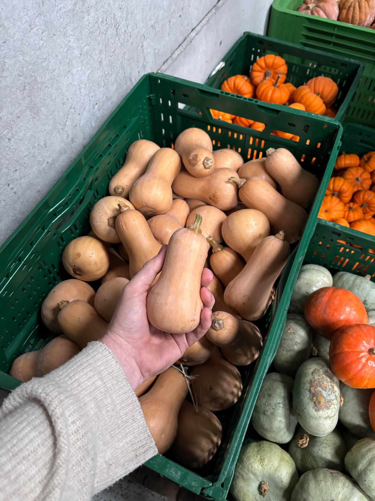 Afgekeurde groenten en fruit zijn te klein, te groot, te geblutst of te krom voor de supermarkten.