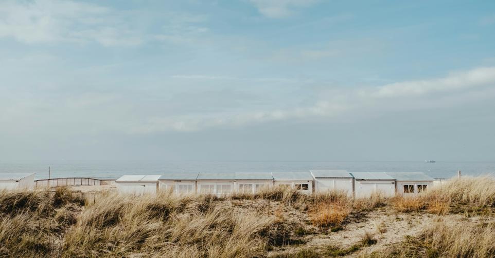 Duinen